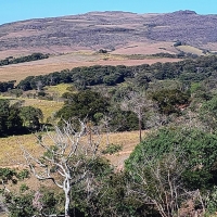 Venda de Terreno em Rural  Sobradinho de Minas em São Thomé das Letras-MG