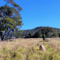 Venda de Terreno em Rural  Sobradinho de Minas em São Thomé das Letras-MG