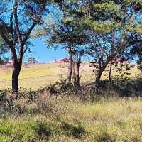 Venda de Terreno em Rural  Sobradinho de Minas em São Thomé das Letras-MG