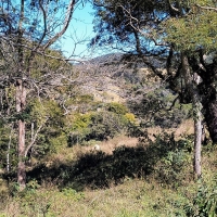 Venda de Terreno em Rural  Sobradinho de Minas em São Thomé das Letras-MG