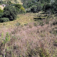 Venda de Terreno em Rural  Sobradinho de Minas em São Thomé das Letras-MG