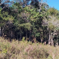Venda de Terreno em Rural  Sobradinho de Minas em São Thomé das Letras-MG