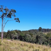 Venda de Terreno em Rural  Sobradinho de Minas em São Thomé das Letras-MG