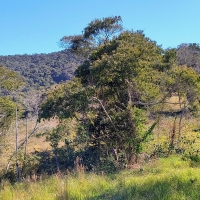 Venda de Terreno em Rural  Sobradinho de Minas em São Thomé das Letras-MG