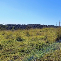 Venda de Terreno em Rural  Sobradinho de Minas em São Thomé das Letras-MG