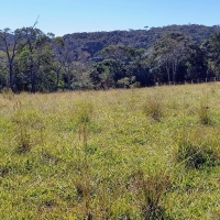 Venda de Terreno em Rural  Sobradinho de Minas em São Thomé das Letras-MG