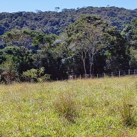 Venda de Terreno em Rural  Sobradinho de Minas em São Thomé das Letras-MG